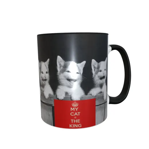 My Cat Is The King My Cat Is The King