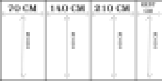 Ihr Bild als Fototapete 70 x ? cm