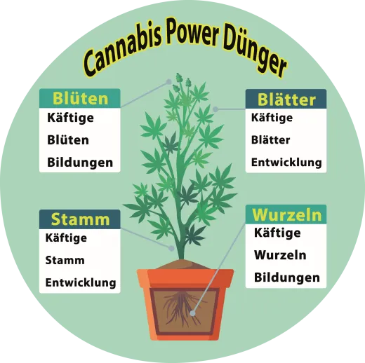 Cannabis Power Dünger Cannabis Power Dünger