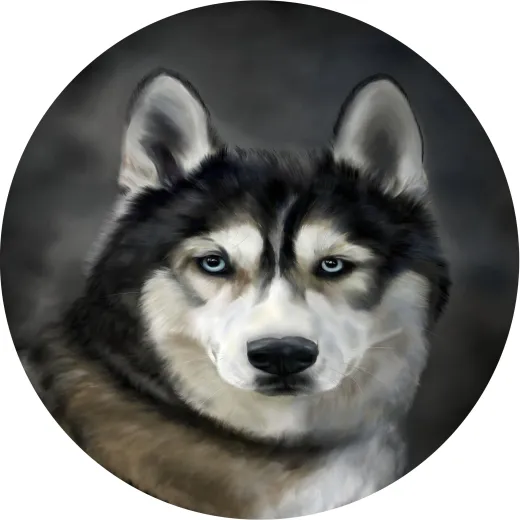 Mauspad 21cm rund 3 mm dick - matt - Husky Mauspad 21cm rund 3 mm dick - matt - Husky