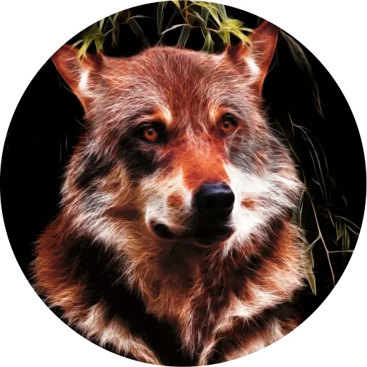 Mauspad 21cm rund 3 mm dick - matt - Wolf 2 Mauspad 21cm rund 3 mm dick - matt - Wolf 2