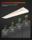 Spider Farmer SF600 74 W LED-Zuchtleuchte für Hydrokultur, Zimmerpflanzen und Blumengärten