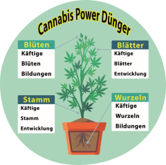 Cannabis Power Dünger Cannabis Power Dünger