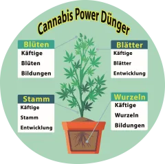 Cannabis Power Dünger