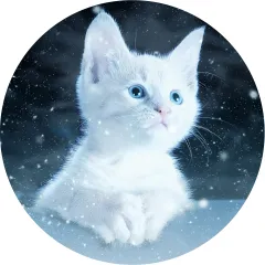 Mauspad 21cm rund 3 mm dick - matt - Nacht Katze