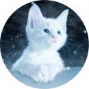 Nacht Katze - Untersetzer rund Stärke 3 mm Durchmesser 10 cm - Matt