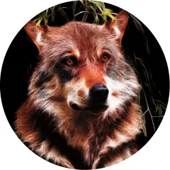 Mauspad 21cm rund 3 mm dick - matt - Wolf 2